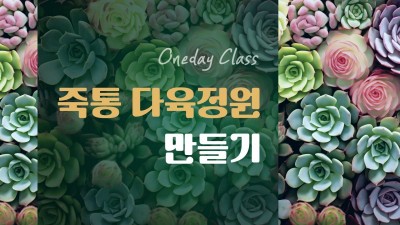 죽통 다육정원 만들기