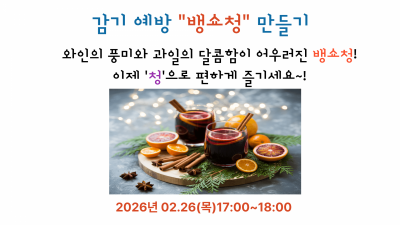 [수제청] 뱅쇼청 만들기